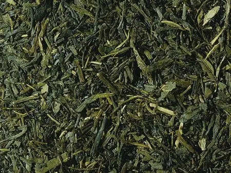 Japan Sencha