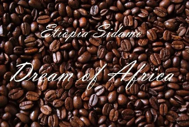 ETIOPIA SIDAMO